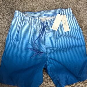 Calvin Klein Striped Blue Swim Trunks